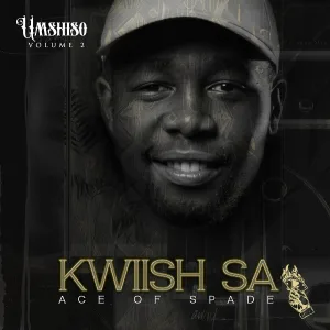 Kwiish SA feat. De Mthuda, Malumnator, Mogomotsi Chosen - Indoda