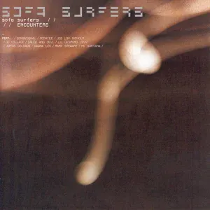 Sofa Surfers feat. Lil Desmond Levy - What Kind Of World