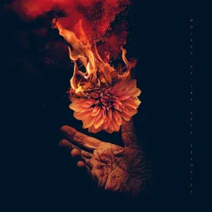 Wolves At The Gate - Out of Sight