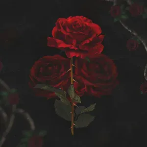 Tsavali - Колючая