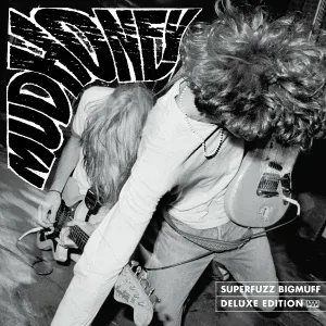 Mudhoney - Chain That Door