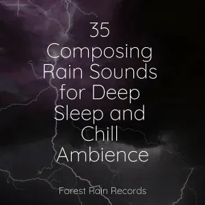 Dr. Meditation, Música Zen Relaxante, Rain - Forest, Rain, Birds, Winter