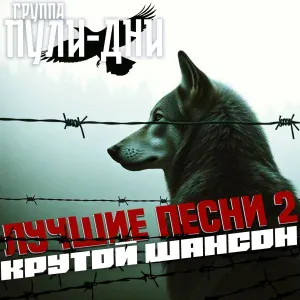 Группа Пули-Дни - Жиган (Новая версия)
