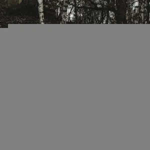 деанойс - не сегодня