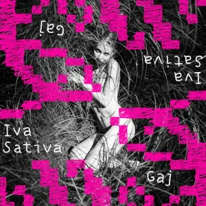 Iva Sativa - Gaj