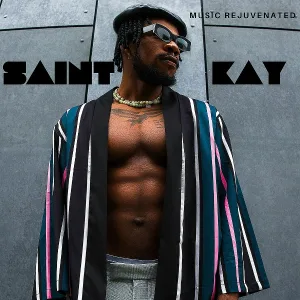 Saint Kay - D Level