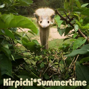Кирпичи - Sunny Side Up