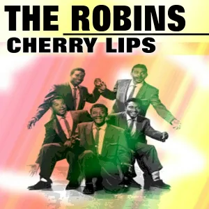 The Robins - I'll Do It