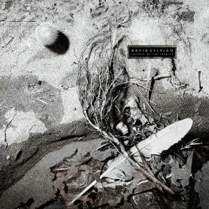 David Sylvian - September