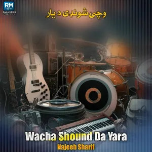 Najeeb Sharif - Amoo Rozaa