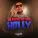 MC Hollywood feat. DJ Will DF - Checkpoint Na Favela