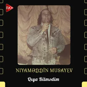 Niyaməddin Musayev - Qıya Bilmədim