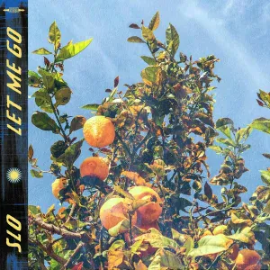Stop Light Observations - Let Me Go
