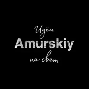 Amurskiy - Идём на свет