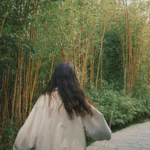onokami - Фея