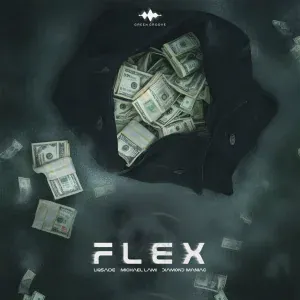LIQSAIDE, Michael Lami, Diamond Maniac - Flex
