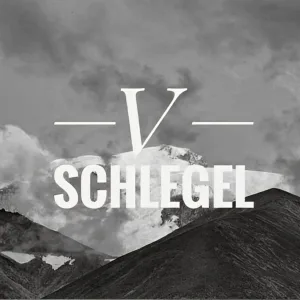 V Schlegel - Каждый день как день рождения