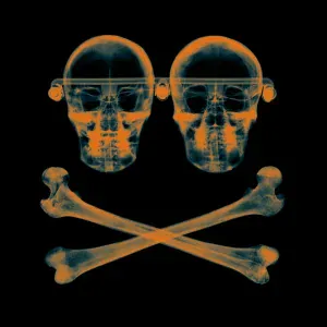 Orbital - Shadows