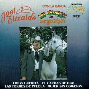 Joel Elizalde - El Callejero