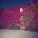 Feist - Pleasure