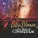 Celtic Woman - Joy to the World