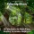 Yoga Music, Relaxing Spa Music, Yoga - Relaxing Music