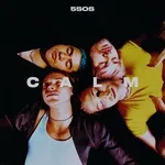 5 Seconds of Summer - Wildflower
