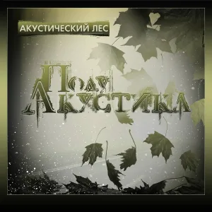 Акустический лес - Вятский причал