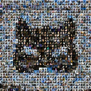 Vspak - Под моей маской