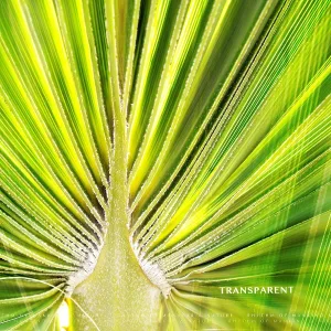 Rhythm of Mankind & Nature - Story of the Sage Oak