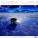 Classical Lullabies - Hava Nagila