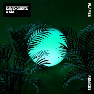 David Guetta, Sia - Flames