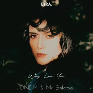 DNDM, Mr Salama - Why Love You