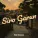 Hayk Sargsyan - Siro Garun