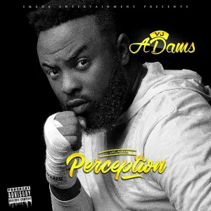 VJ Adams feat. Mr Eazi - Bless My Way