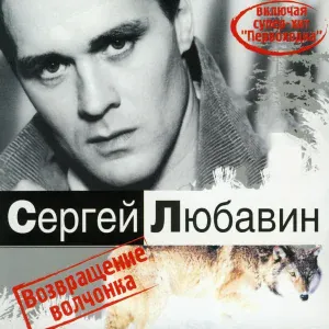 Любавин Сергей - Брат вестовой