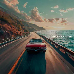 SAGI - REPRODUCTION