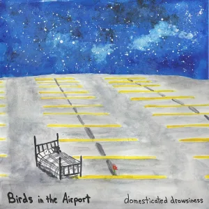 Birds in the Airport - Waking up a Dream