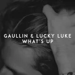 Gaullin, Lucky Luke - What's Up