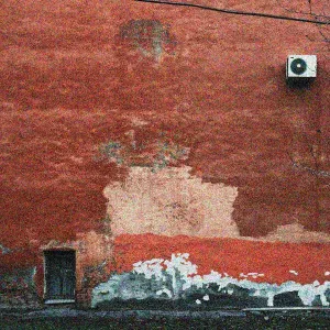 daur - тост