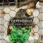 Emre Kabak, Renomty - Dependent
