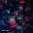 Ahmed Abdurahimli - Runaway
