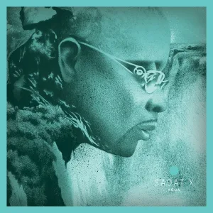 Sadat X feat. Lord Jamar - Cut & Dry