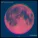 Keep Shelly in Athens - To the Moon