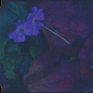 Aule feat. Uwineza - Aurora
