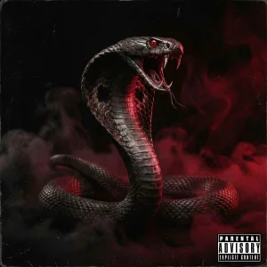 Re-Cobra - Benim Adım Re-Cobra