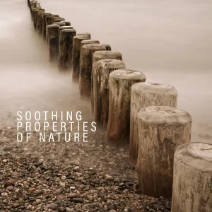 Soothing Music Academy, Emotional Healing Intrumental Academy, Healing Music Empire - Sleep Nature Meditation