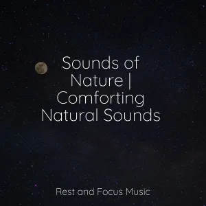 Pink Noise, Yoga Soul, Relaxing Spa Music - Meditative Musings