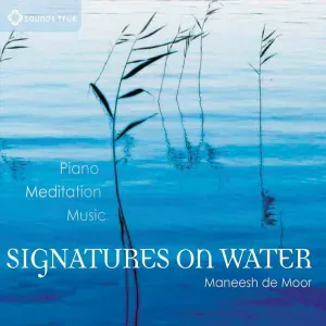Maneesh de Moor - Galaxies Within