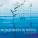 Maneesh de Moor - Mindfulness